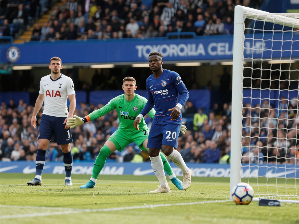 国米提供了 国米提供了